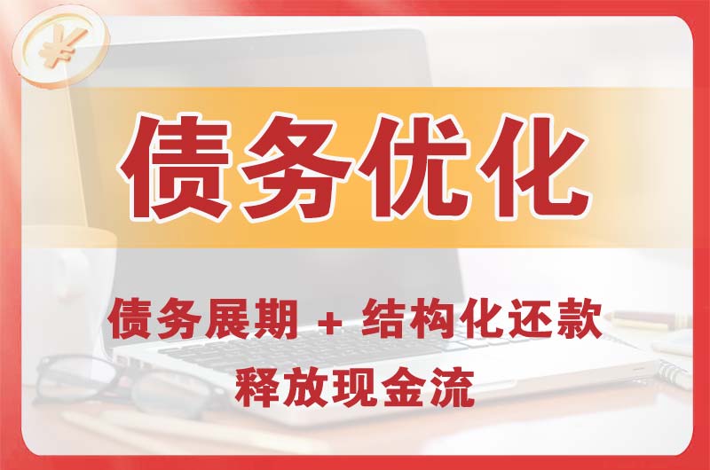 拉萨债务优化